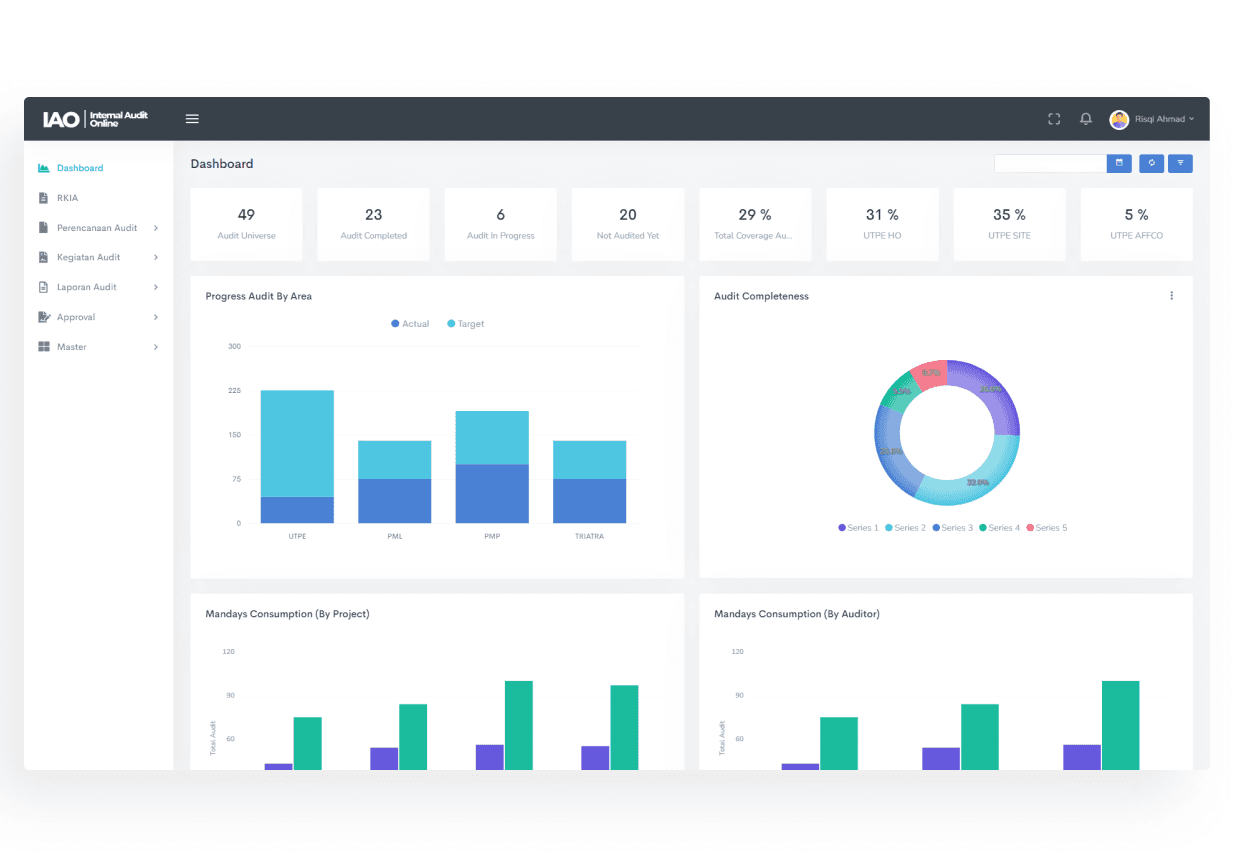 Internal Audit Tracking System